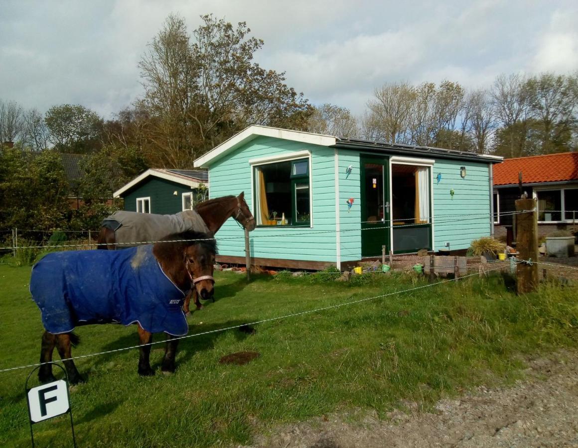 비어링거워프 Betty'S Tiny House B&B 외부 사진